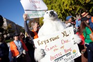 Protestors outside the White House demand a stop to the Keystone XL tar sands oil pipeline.